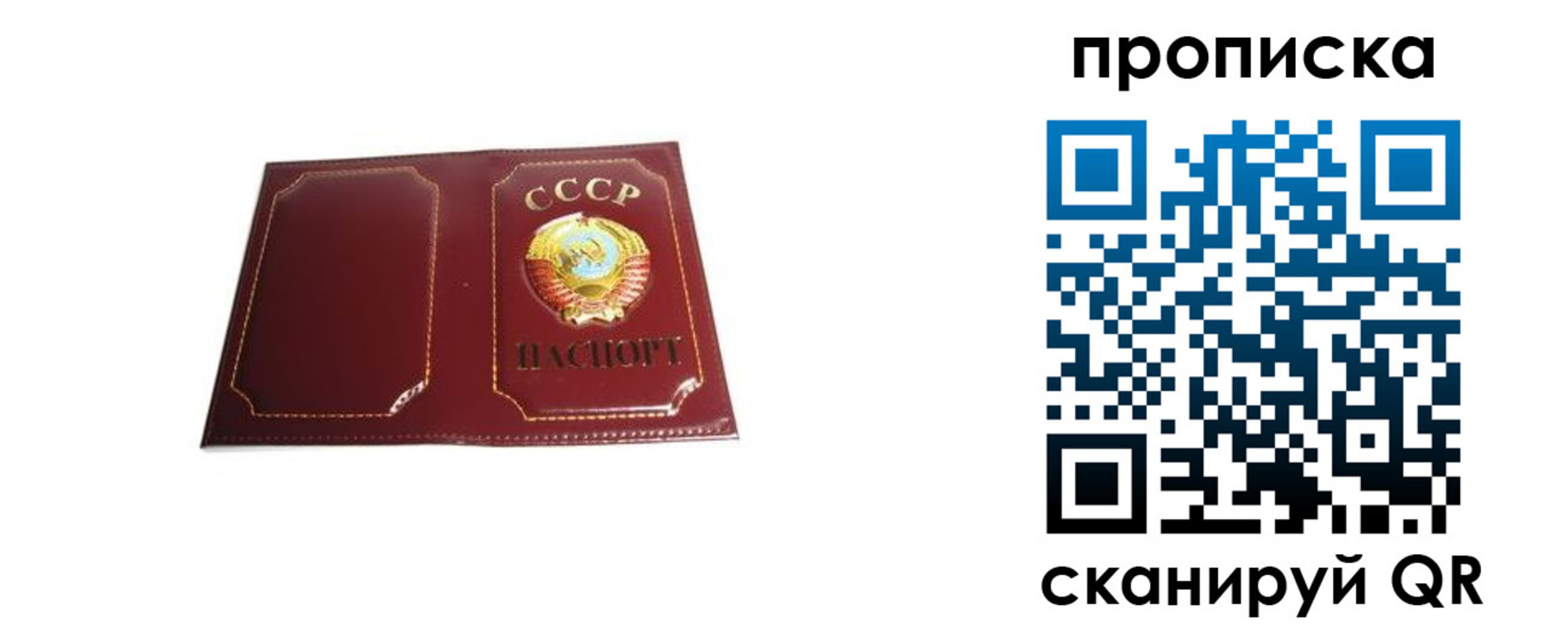 прописка гарантия в Ипатово